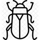 Kafer Insekt Kafer Symbol