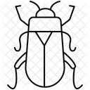 Kafer Insekt Kafer Symbol
