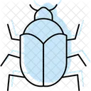 Kafer Insekt Schale Symbol