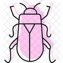 Kafer Insekt Kafer Symbol