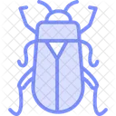 Kafer Insekt Kafer Symbol