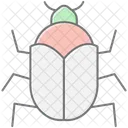 Kafer Insekt Schale Symbol