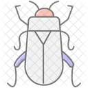 Kafer Insekt Kafer Symbol