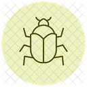 Kafer Insekt Schale Symbol