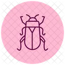 Kafer Insekt Kafer Symbol