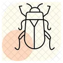 Kafer Insekt Kafer Symbol