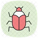 Kafer Insekt Schale Symbol