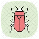 Kafer Insekt Kafer Symbol