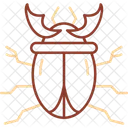 Kafer Insekt Kafer Symbol