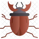 Kafer Insekt Kafer Symbol