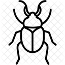 Kafer Insekt Kafer Symbol