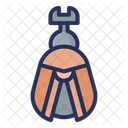 Kafer Fruhling Pflanze Symbol