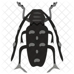 Käfer  Symbol