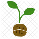 Pflanzen Kaffee Baum Icon