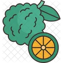 Kaffir Lime Fruit Icon