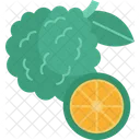 Kaffir Lime Fruit Icon