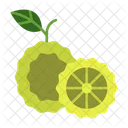 Kaffir Lime Fruit Food Icon