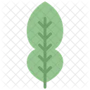 Kaffir lime leaf  Icon
