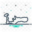 Kaimaninseln  Symbol