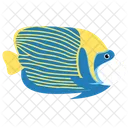 Kaiser Kaiserfisch Ozean Symbol