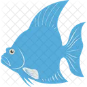 Kaiserfisch  Symbol