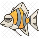 Kaiserfisch  Symbol