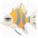 Kaiserfisch  Symbol