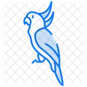 Kakadu  Symbol