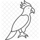 Kakadu Haustier Vogel Symbol