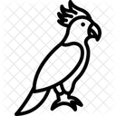 Kakadu Haustier Vogel Symbol