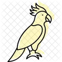 Kakadu Haustier Vogel Symbol