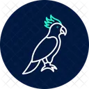 Kakadu Haustier Vogel Symbol