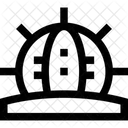 Kaktus Araber Araberin Symbol