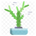 Cholla-Kaktus  Symbol