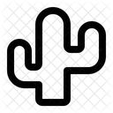 Kaktus Pflanze Natur Symbol