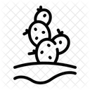 Kaktus  Symbol