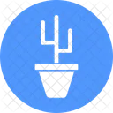 Kaktuspflanze  Symbol