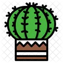 Kaktuspflanze  Symbol