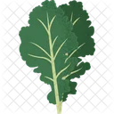 Kale Veggies Food Icon