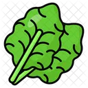 Kale Leaves Vegetable Icon