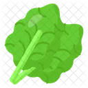 Kale Leaves Vegetable Icon