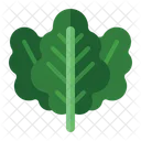 Kale Health Vegetarian Icon