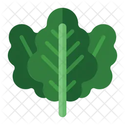 Kale  Icon