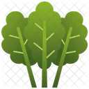 Kale Green Leaf Icon
