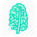 Kale Cabbage Green Icon
