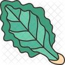 Kale Leaf Vegetable Icon
