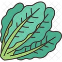 Kale Leaf Diet Icon