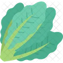 Kale Leaf Diet Icon