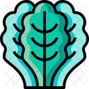 Kale  Icon