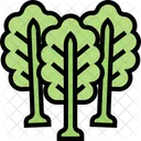 Kale Leaf  Icon